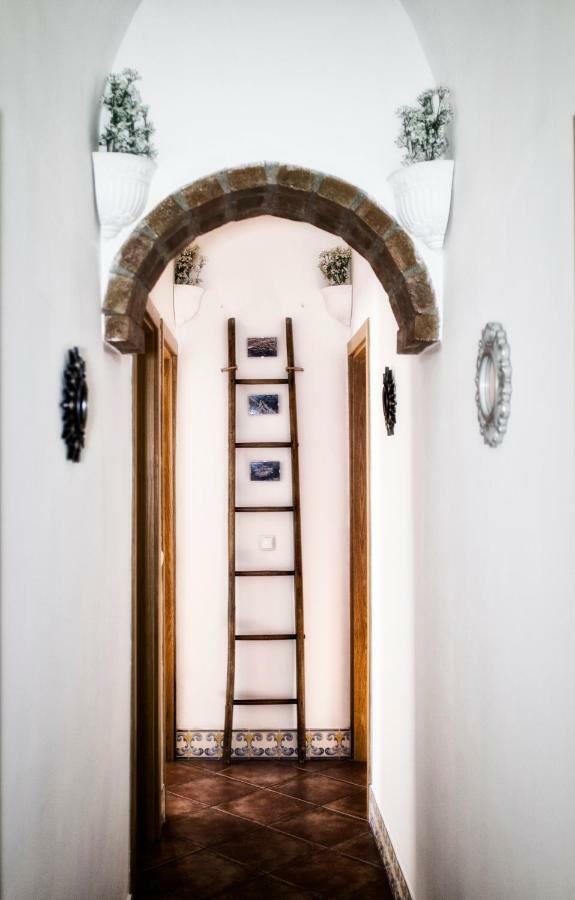 Casa Vitoria Guest House Évora Eksteriør bilde